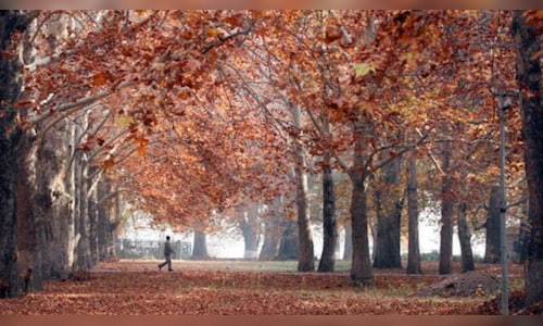 Weekend Digest: Travel Trends, Health Innovation and Culture Shifts